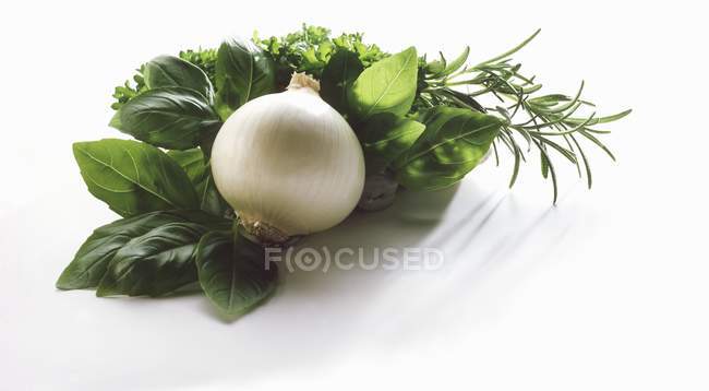 Frische Kräuter und weiße Zwiebeln — Stockfoto