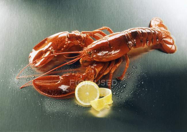 Cooked lobster with lemon — Stock Photo