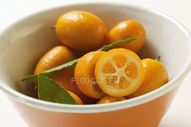 Kumquats maduros frescos — Fotografia de Stock