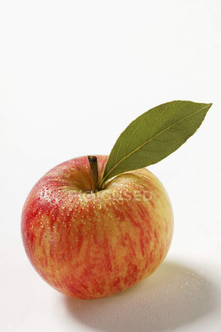 Свежее спелое яблоко — стоковое фото