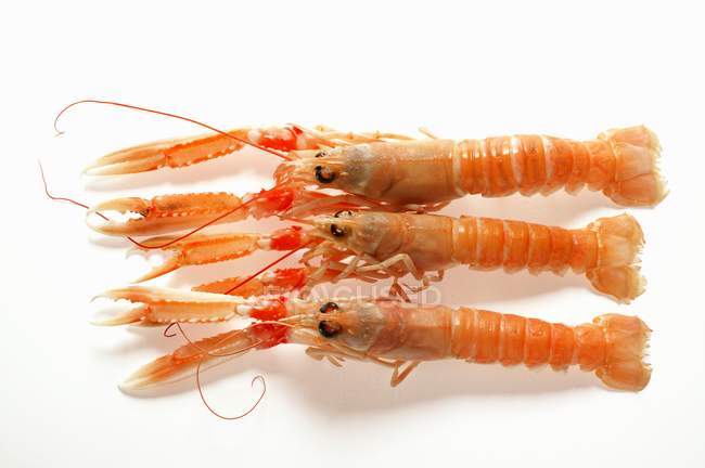 Closeup view of three crayfish on white surface — Stock Photo