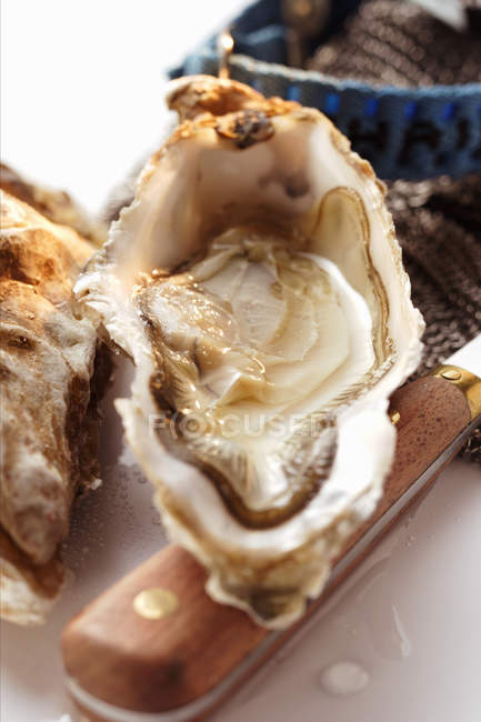 Opened oyster and knife — Stock Photo