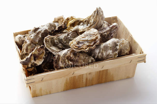 Oysters in a crate, close-up — Stock Photo