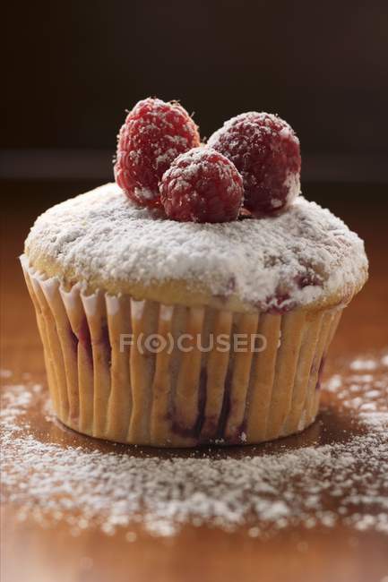 Raspberry muffin with icing sugar — Stock Photo