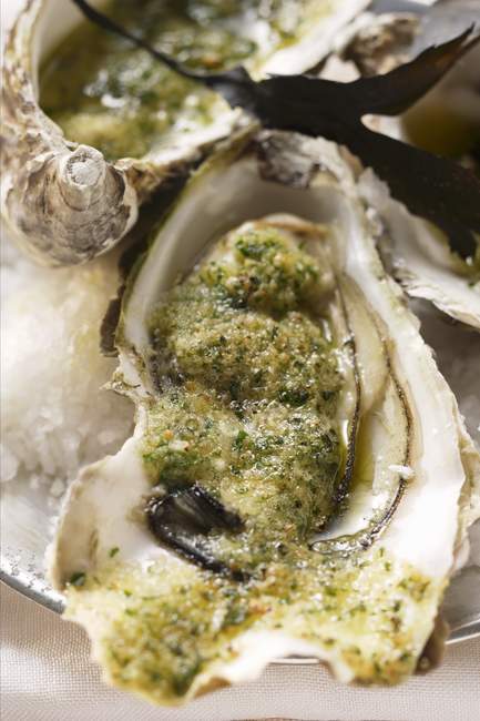 Baked oysters with herb breadcrumbs — Stock Photo