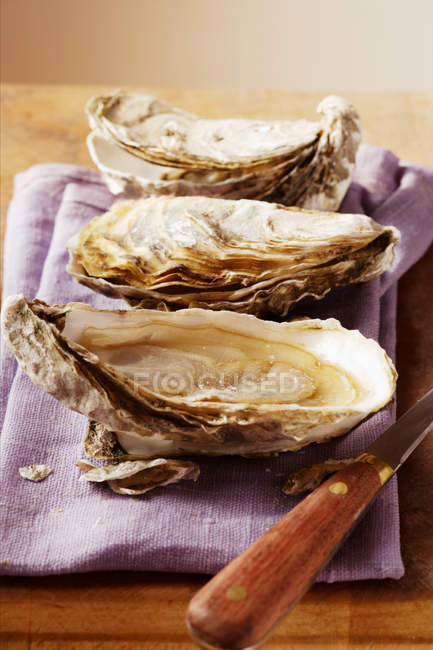 Fresh oysters on purple cloth — Stock Photo