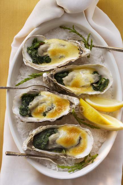 Baked oysters with creamed cheese — Stock Photo