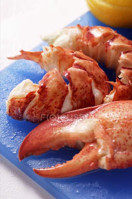 Obster, cooked and prepared — Stock Photo