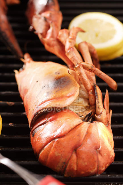Barbecued lobster, close-up — Stock Photo