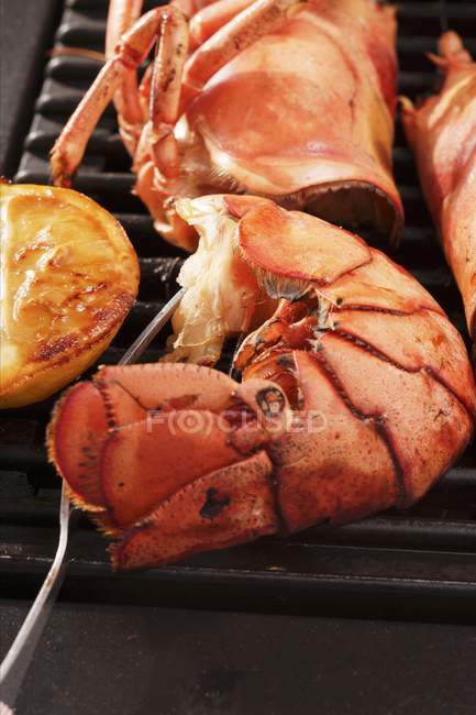 Barbecued lobster, close-up — Stock Photo