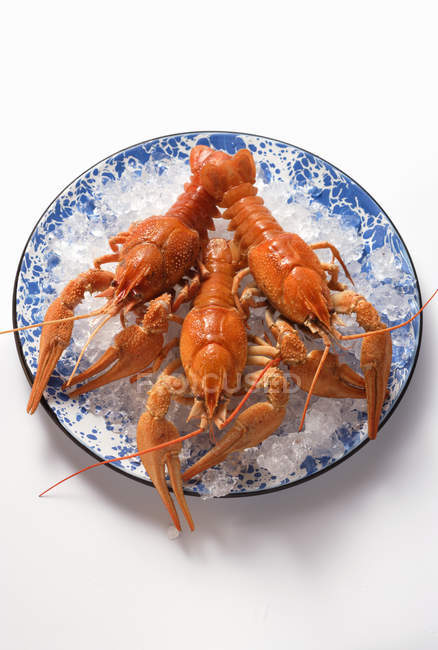 Freshwater crayfish on plate — Stock Photo