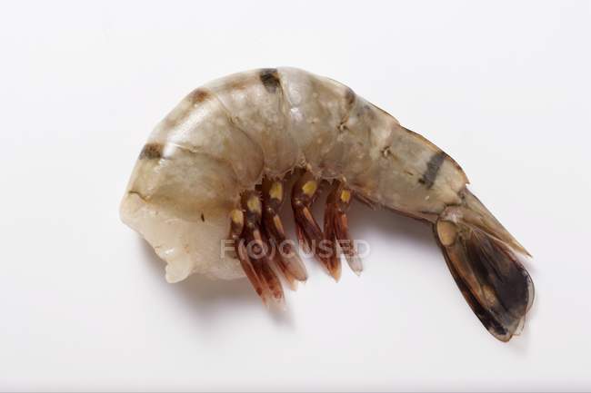 Crevette royale fraîche — Photo de stock