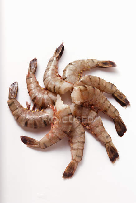 Crevettes sans tête — Photo de stock