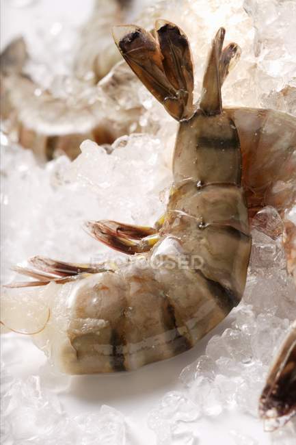 King prawns without heads — Stock Photo