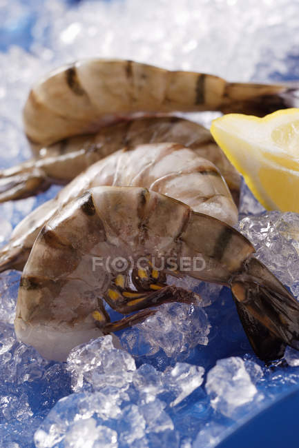 Crevettes sans tête — Photo de stock