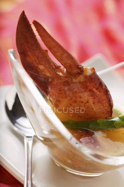 Consomnio de langosta fría con garra de langosta y espárragos verdes - foto de stock