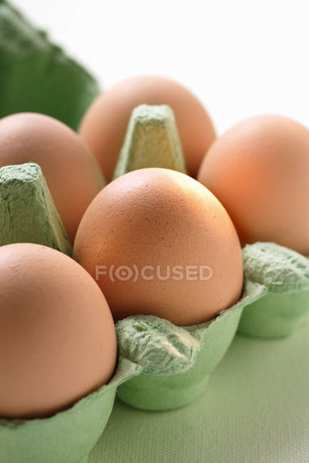 Курячі яйця в картонній коробці — стокове фото