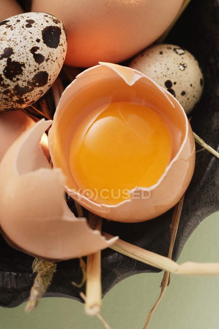 Uovo rotto aperto — Foto stock