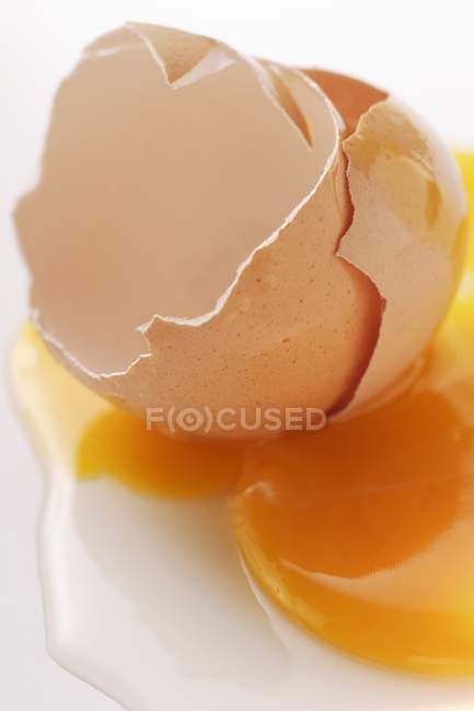 Gema de ovo e cascas de ovos — Fotografia de Stock