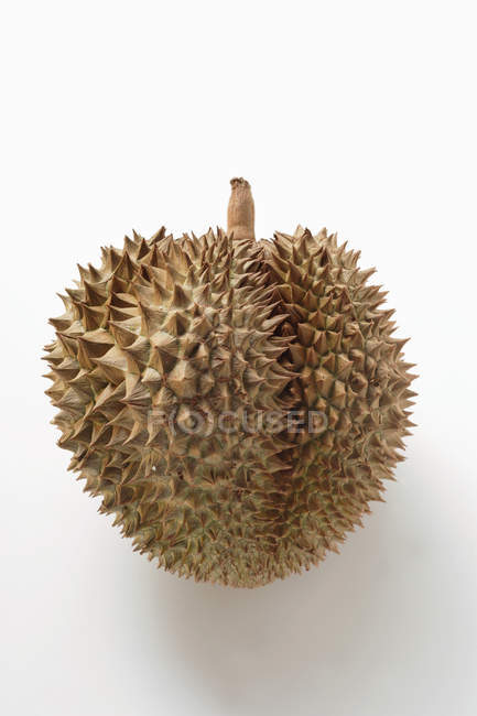 Frutta durian fresca — Foto stock