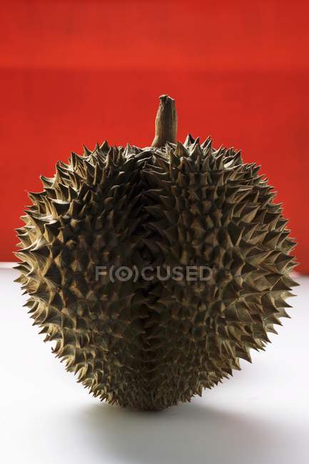 Fresh durian fruit — Stock Photo