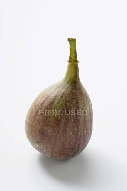 Fresh green fig — Stock Photo