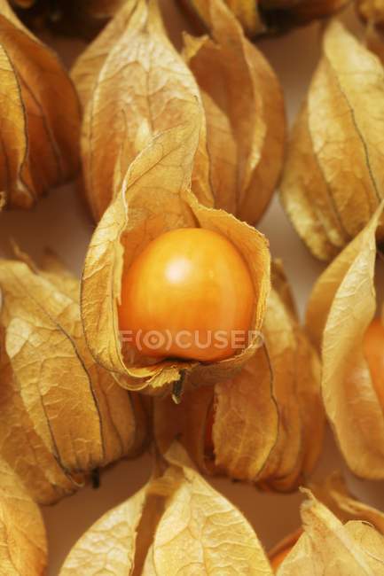 Frutti di Physalis con e senza calici — Foto stock