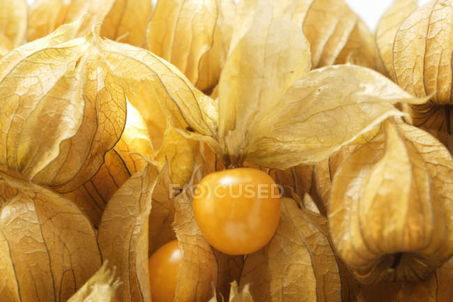 Frutas de Physalis con y sin cálices - foto de stock