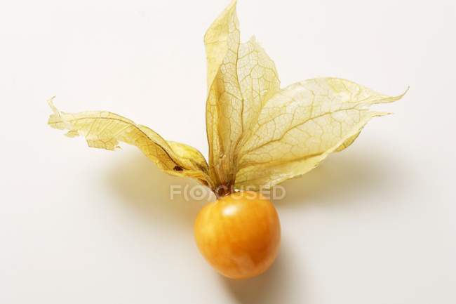 Physalis Frucht mit Schale — Stockfoto