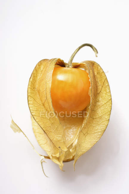 Fruta Physalis com cálice — Fotografia de Stock