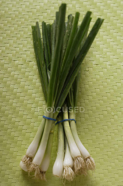 Spring onions, in bunches — Stock Photo