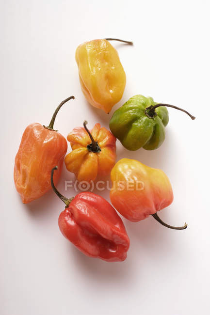 Peperoncini colorati — Foto stock