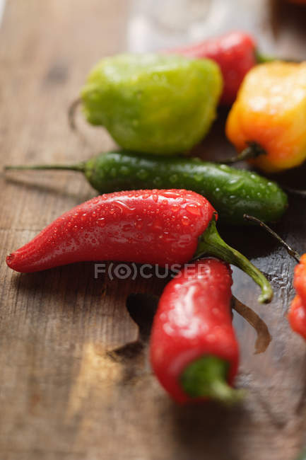 Colorful chili peppers — Stock Photo