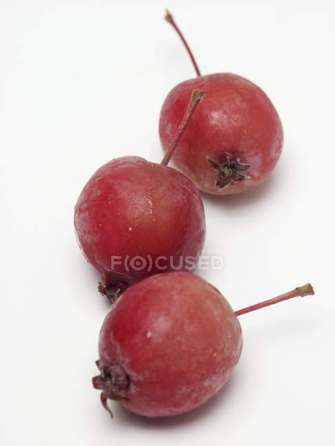 Tre mele rosse di granchio — Foto stock