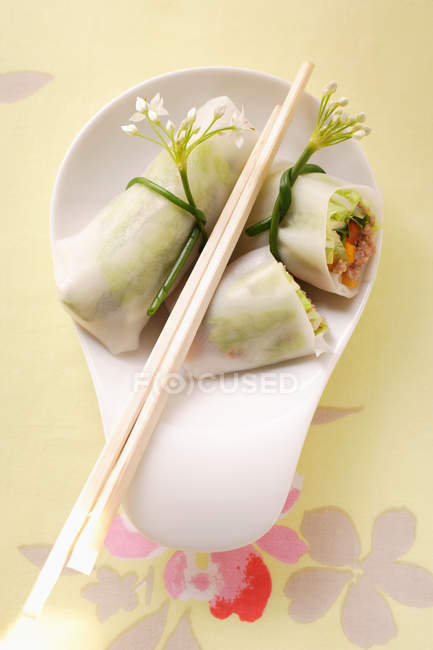 Filled rice paper rolls — Stock Photo