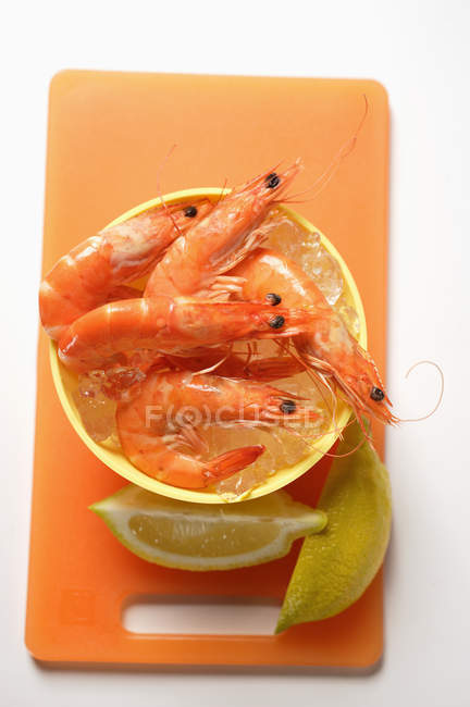 Crevettes avec glaçons — Photo de stock