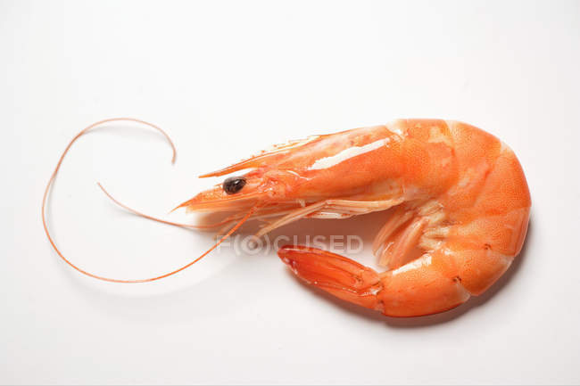 Whole unpeeled boiled shrimp — Stock Photo