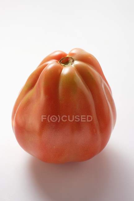 Свежий красный помидор — стоковое фото