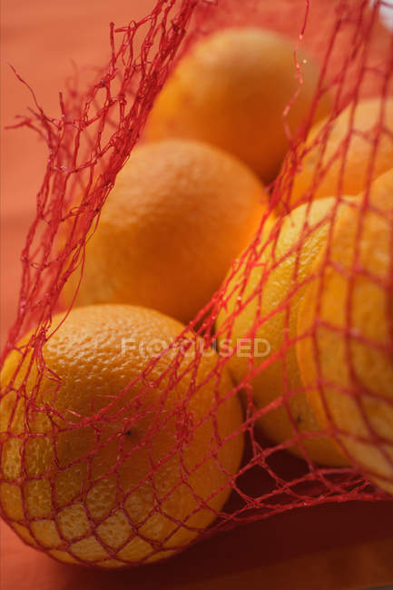 Свежие спелые апельсины — стоковое фото