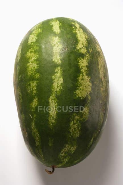 Oval fresh watermelon — Stock Photo