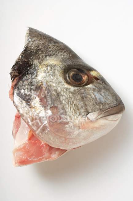 Head of raw sea bass — Stock Photo