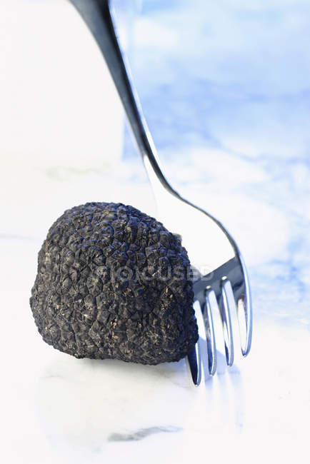 Truffe noire à la fourchette — Photo de stock