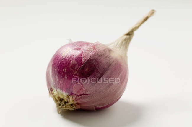Rote Zwiebel teilweise geschält — Stockfoto