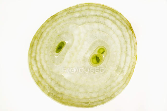 Close up of  Slice of onion — Stock Photo