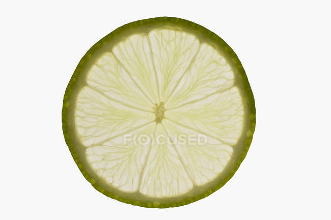 Slice of lime with backlit — Stock Photo