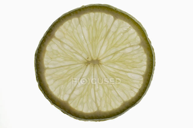 Fatia de limão com retroiluminação — Fotografia de Stock