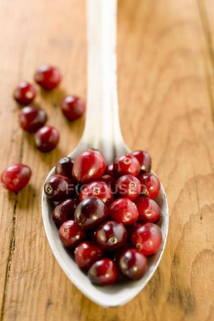Cranberries frescas na colher — Fotografia de Stock