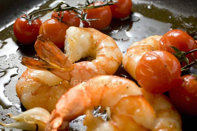 Fried shrimps with cherry tomatoes — Stock Photo