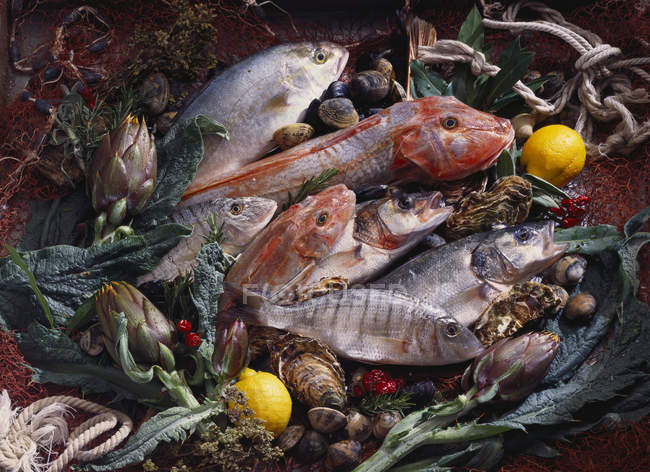 Pesce fresco con crostacei e verdure — Foto stock