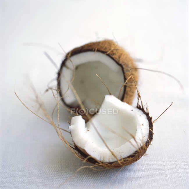 Ouvert noix de coco exotique — Photo de stock